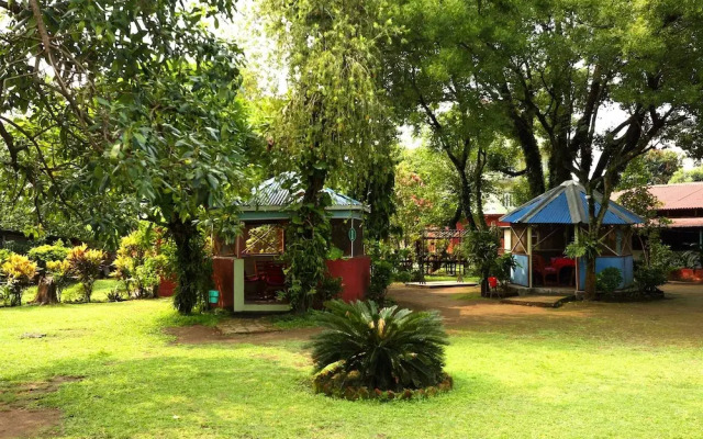 OYO 502 Avocado Orchid Resort