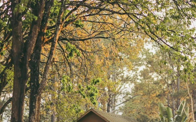 Phoenix Moc Chau Hotel