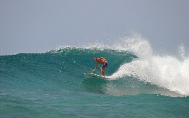 Surf Trip Maldives