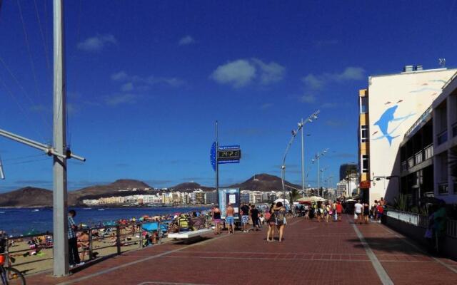 Estudio en Las Canteras- Paralelo 28