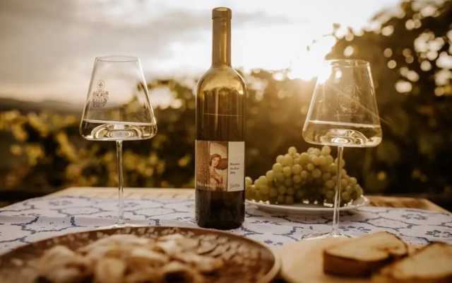 Vineyard cottage Zdolšek