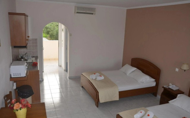 Jenny Hotel