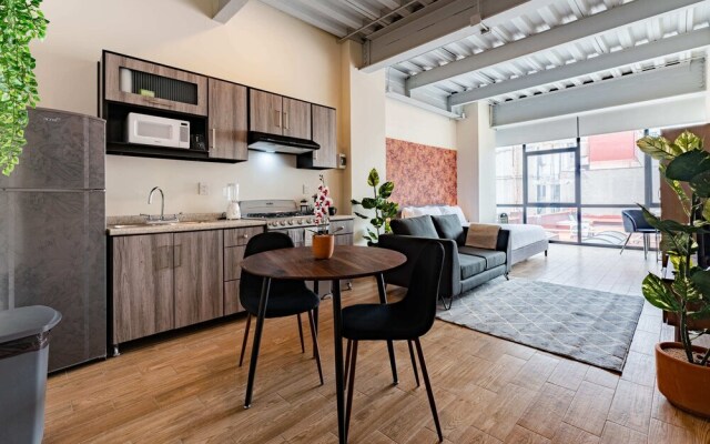 Roma Norte Apartments by VH
