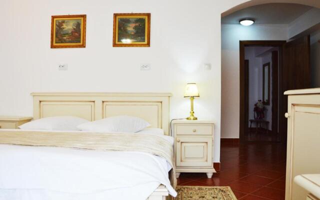 Pensiunea Romantic Belvedere Paltinis