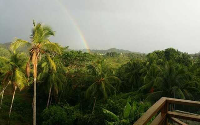 Great Palm View - Apartment 3 in Villa Coconut