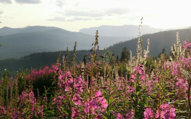 Dalseter Høyfjellshotell