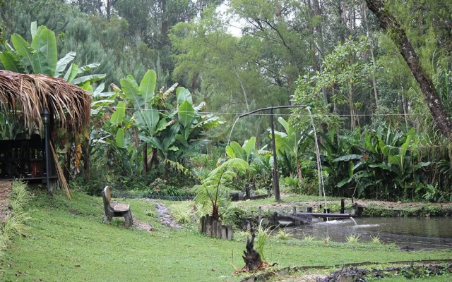 Hotel Llanogrande Inn