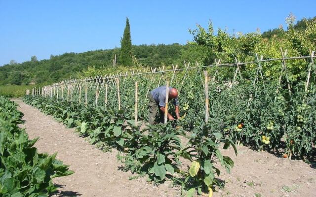 Le Val des Nymphes - Gîte Nany