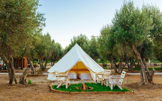 Guadalupe Valle Glamping