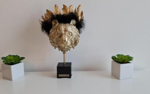 TokiTakai Collection