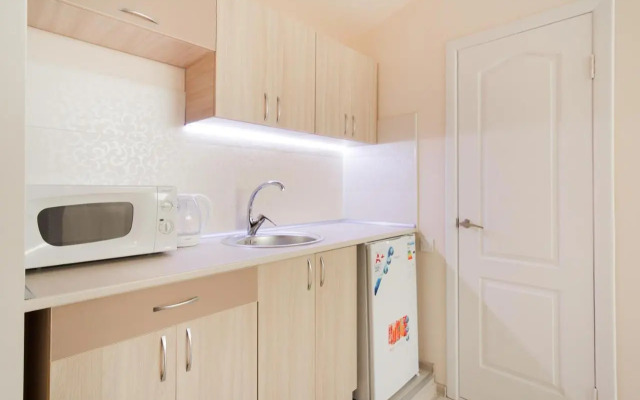 Deribasovskaya apartment