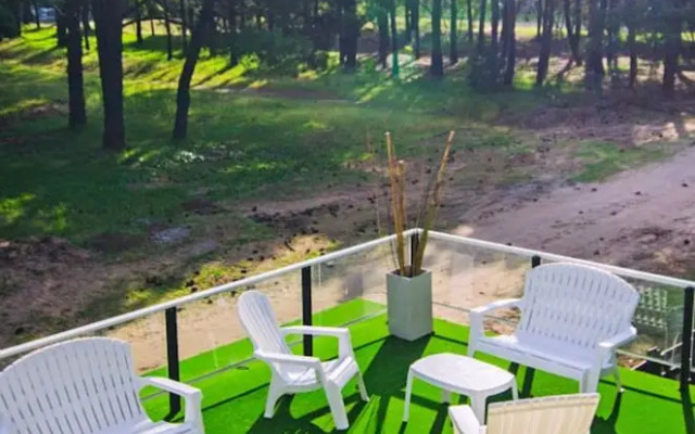suites del bosque