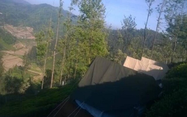 Janardan Tea Resort - Campsite