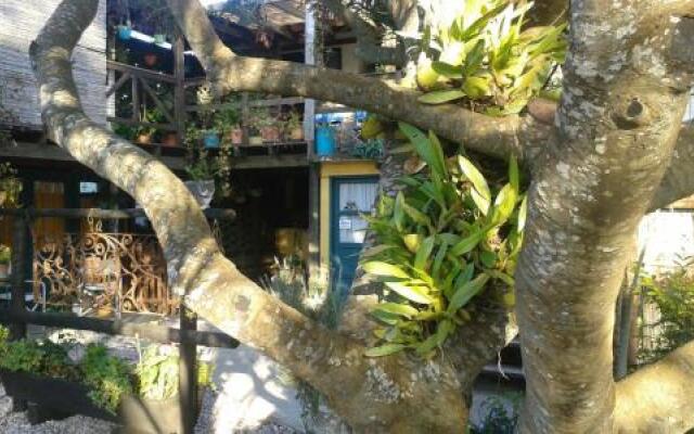 Complejito El Pichon