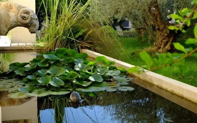 ORADIMORA di Leonardo Conte