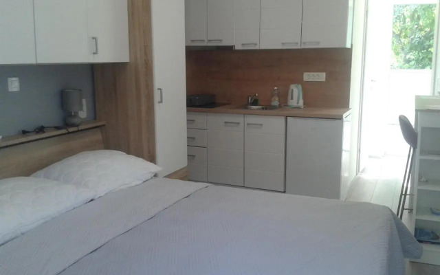 Studio Antonio New