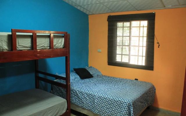Triboo Hostel