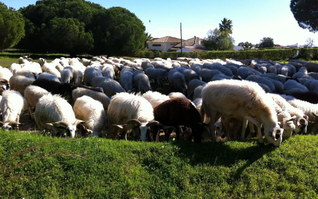 The Birds Nest Luxury B&B