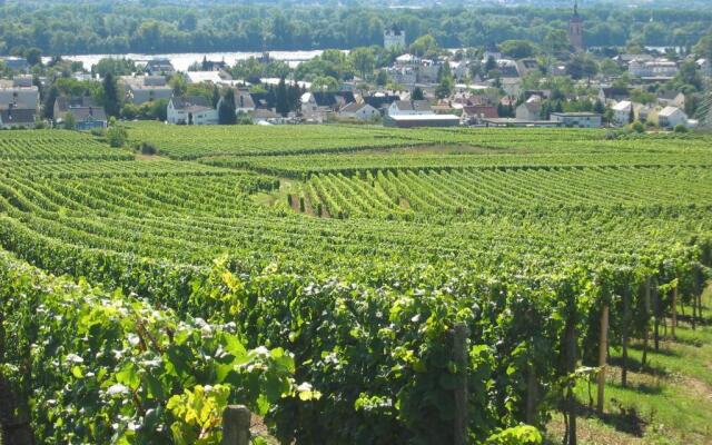 Wein Hotel Koegler