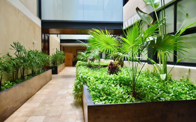 Kuxtal 3 Bedroom Downtown Apartment