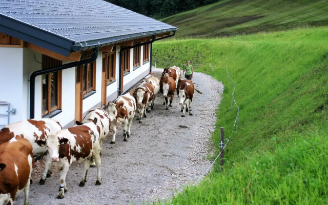 Schartlhof