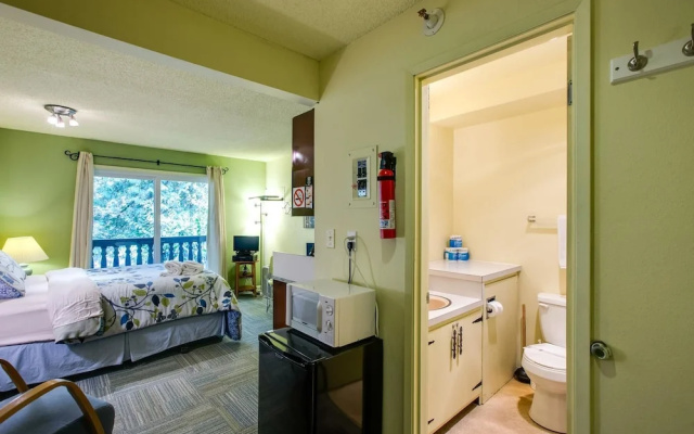 Snowline Lodge #88 by RedAwning