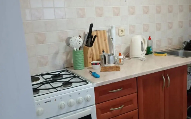 Studio Apartment Posavec