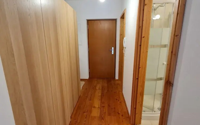 Bad Gastein Fallside Apartment