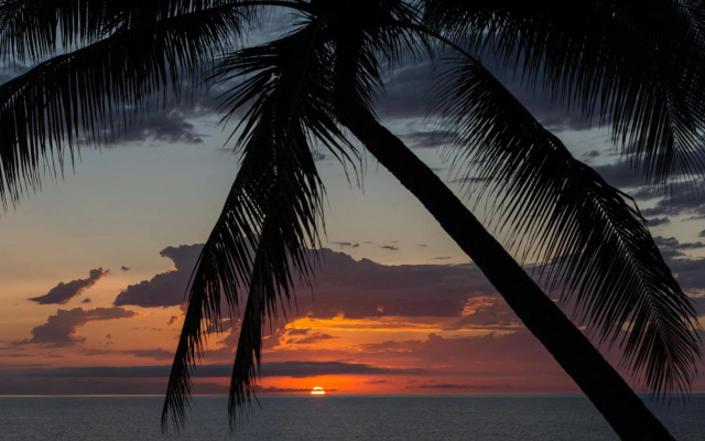 Thala Beach Nature Reserve