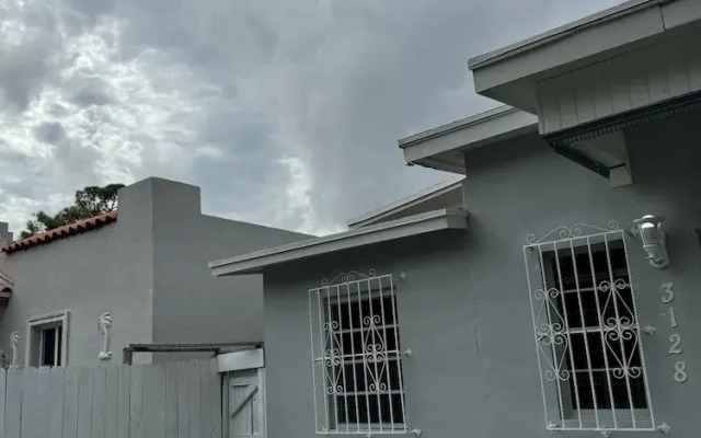 Safari Wynwood