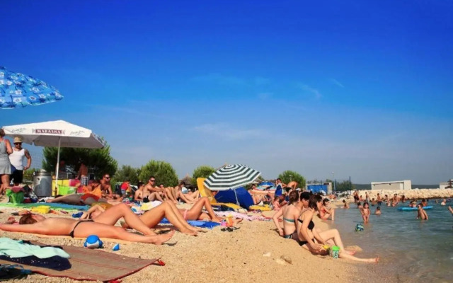 Apartments Dora Bibinje, 50 m from the sea