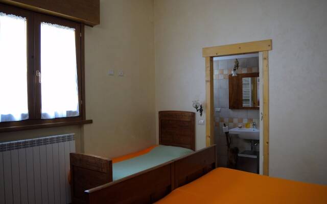 B&B Animali Selvaggi