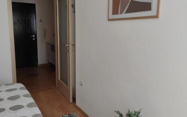 Sunny apartment in Rijeka