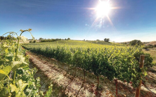 Flaminia - Podere Moricci