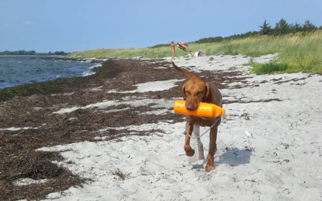 Sea View E&J Paul Comfortable Vacation Home