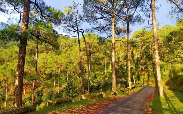 Aaroham Resort by Aamod at Dharamshala
