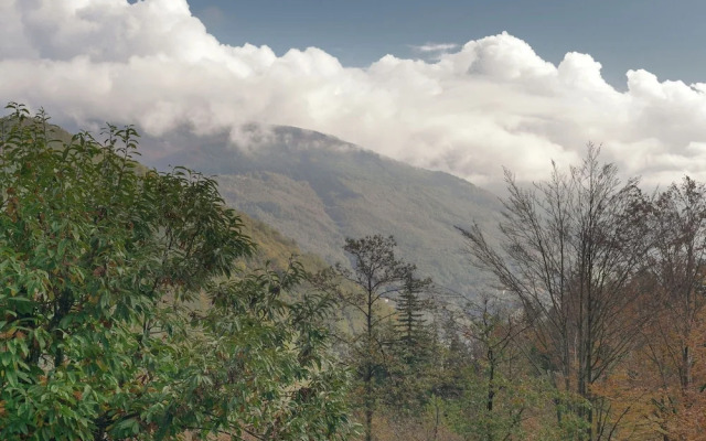 Comfy Holiday Home With Fireplace, Garden Furniture,barbecue