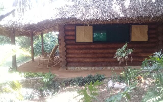 Room in Lodge - Sierraverde Cabin "cabaña el Cedro"