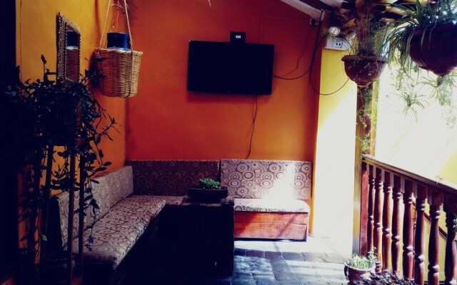 Little Home