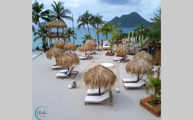 Blue Mine Home Studio