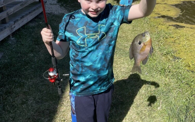 Captain Twigs 10 by RedAwning