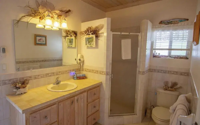 Flipper'S Haven: Tropical Retreat