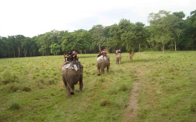 Kasara Jungle Lodge