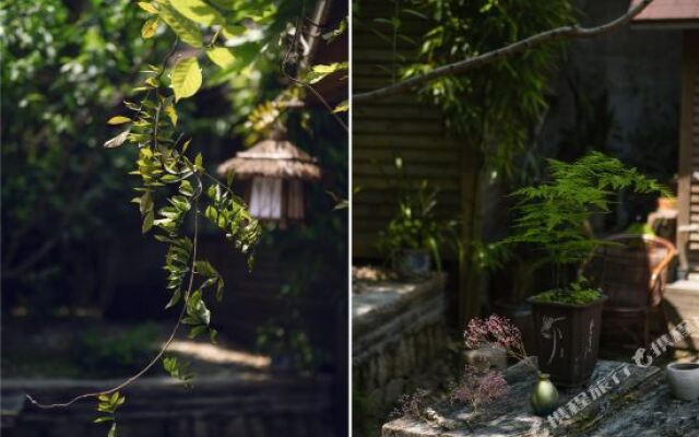 Gulangyu Gallery · Taoyuan Homestay