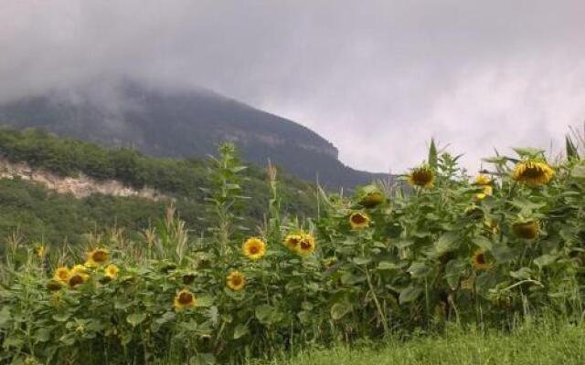 Agritur Le Pergole