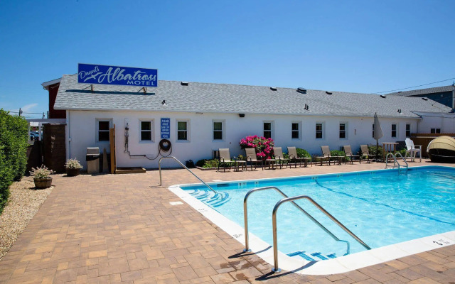 Daunt's Albatross Motel