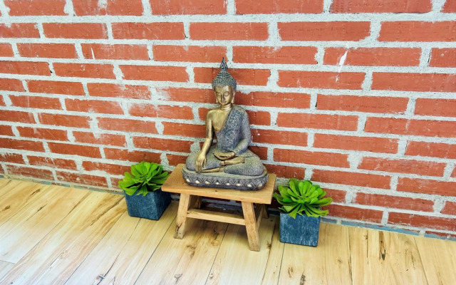 Palm Tree Eco Apartment in Fuengirola Center