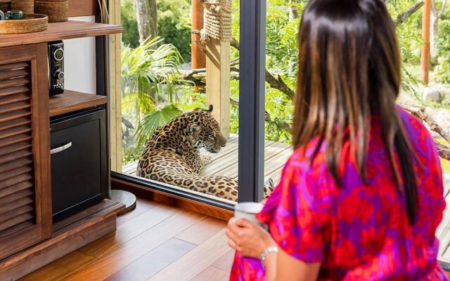 Les Lodges - Parrot World