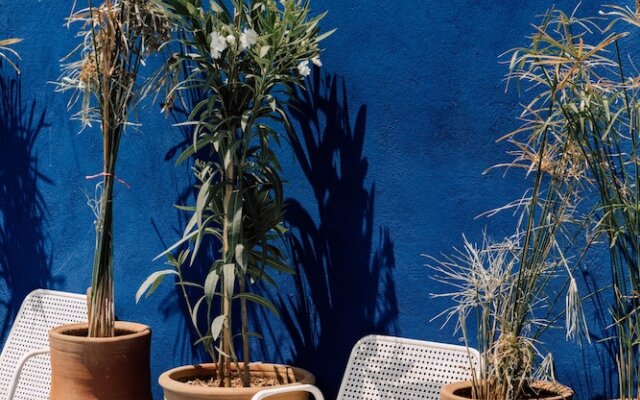 Zwin Zwin Boutique Hôtel & SPA