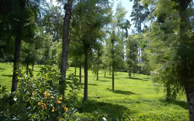 Palve Sugavasam Resorts - Ooty